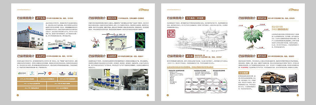 投資公司宣傳冊設(shè)計(jì)-6